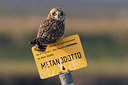 BUITEN BEELD Foto: 110318