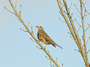 BUITEN BEELD Foto: 110374