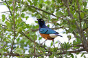 BUITEN BEELD Foto: 110389