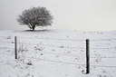 BUITEN BEELD Foto: 110489