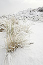 BUITEN BEELD Foto: 110492