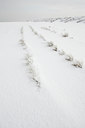 BUITEN BEELD Foto: 110493