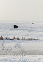 BUITEN BEELD Foto: 110602