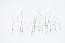 BUITEN BEELD Foto: 110618