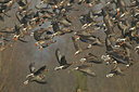 BUITEN BEELD Foto: 110661