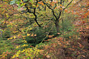 BUITEN BEELD Foto: 110750