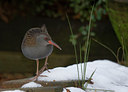 BUITEN BEELD Foto: 110793