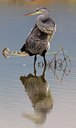 BUITEN BEELD Foto: 110866