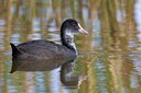 BUITEN BEELD Foto: 110931