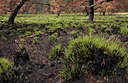 BUITEN BEELD Foto: 110965