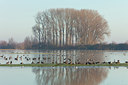 BUITEN BEELD Foto: 111015