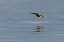BUITEN BEELD Foto: 111071