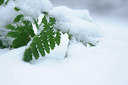 BUITEN BEELD Foto: 111233