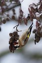 BUITEN BEELD Foto: 111492
