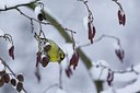 BUITEN BEELD Foto: 111497