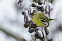 BUITEN BEELD Foto: 111552