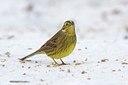 BUITEN BEELD Foto: 111669
