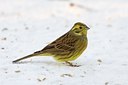 BUITEN BEELD Foto: 111671