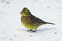 BUITEN BEELD Foto: 111741
