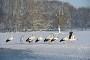 BUITEN BEELD Foto: 111853