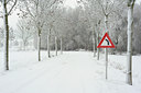 BUITEN BEELD Foto: 111888