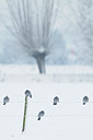 BUITEN BEELD Foto: 111905