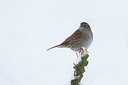 BUITEN BEELD Foto: 111932