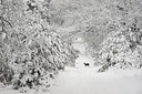 BUITEN BEELD Foto: 112097