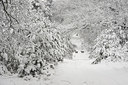 BUITEN BEELD Foto: 112098