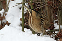 BUITEN BEELD Foto: 112135