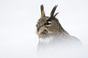 BUITEN BEELD Foto: 112181