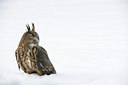 BUITEN BEELD Foto: 112185