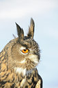 BUITEN BEELD Foto: 112190