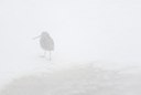 BUITEN BEELD Foto: 112203