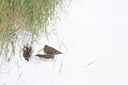 BUITEN BEELD Foto: 112204