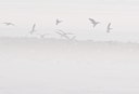 BUITEN BEELD Foto: 112229