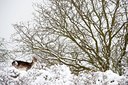 BUITEN BEELD Foto: 112255