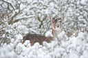 BUITEN BEELD Foto: 112256