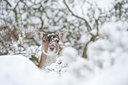 BUITEN BEELD Foto: 112258