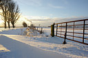 BUITEN BEELD Foto: 112334