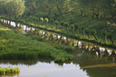 BUITEN BEELD Foto: 112375