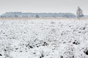 BUITEN BEELD Foto: 112399