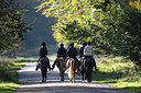 BUITEN BEELD Foto: 112412