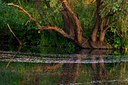 BUITEN BEELD Foto: 112562