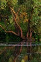 BUITEN BEELD Foto: 112563