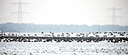 BUITEN BEELD Foto: 112616