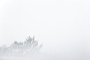 BUITEN BEELD Foto: 112672