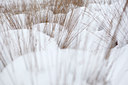 BUITEN BEELD Foto: 112673