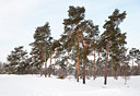 BUITEN BEELD Foto: 112674