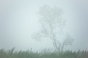 BUITEN BEELD Foto: 112714